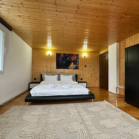Вилла Prater House Mountain View Моечу-де-Жос Экстерьер фото