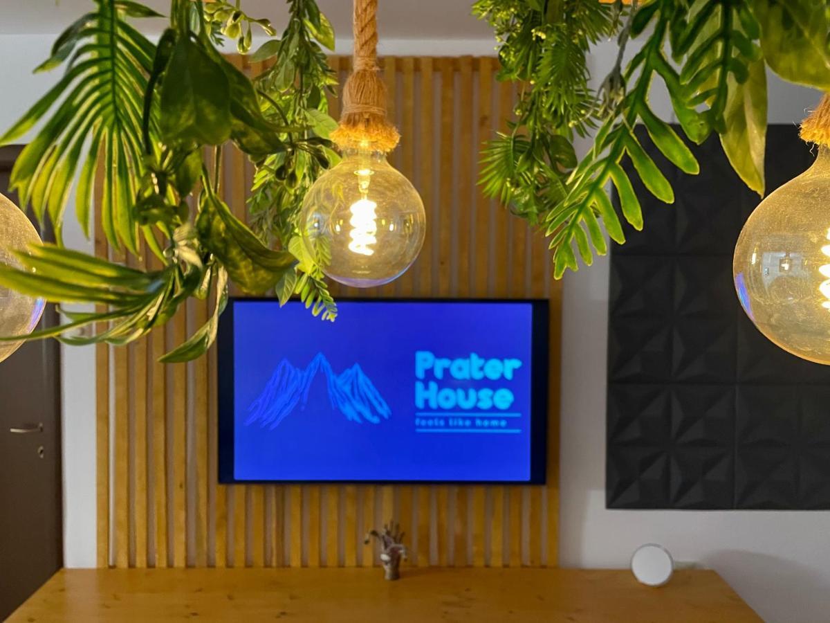 Вилла Prater House Mountain View Моечу-де-Жос Экстерьер фото