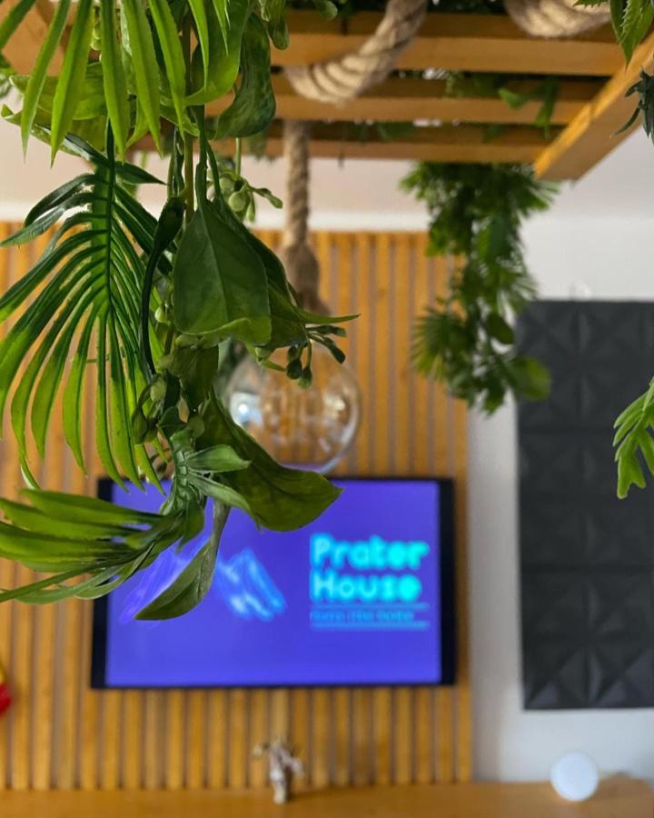 Вилла Prater House Mountain View Моечу-де-Жос Экстерьер фото