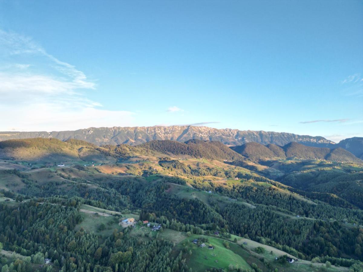 Вилла Prater House Mountain View Моечу-де-Жос Экстерьер фото
