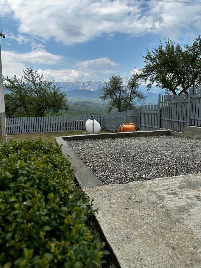 Вилла Prater House Mountain View Моечу-де-Жос Экстерьер фото